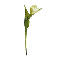 Tulipan, lysegul 29cm